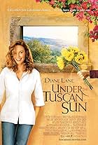 Diane Lane in Dưới Nắng Trời Tuscan (2003)