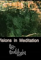 Visions in Meditation