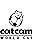 Catcam World Cup