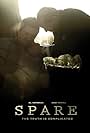 Spare (2010)