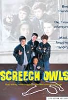 Screech Owls