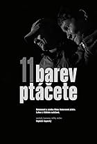 11 barev ptácete