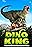 Dino King 3D: Journey to Fire Mountain