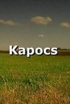 Kapocs (2008)