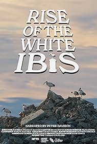 Rise of the White Ibis (2024)