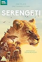 Serengeti