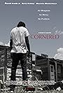 Cornered (2015)