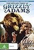 The Life and Times of Grizzly Adams (TV Series 1977–1978) Poster