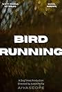 Bird Running (2022)