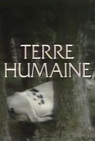 Primary photo for Terre humaine