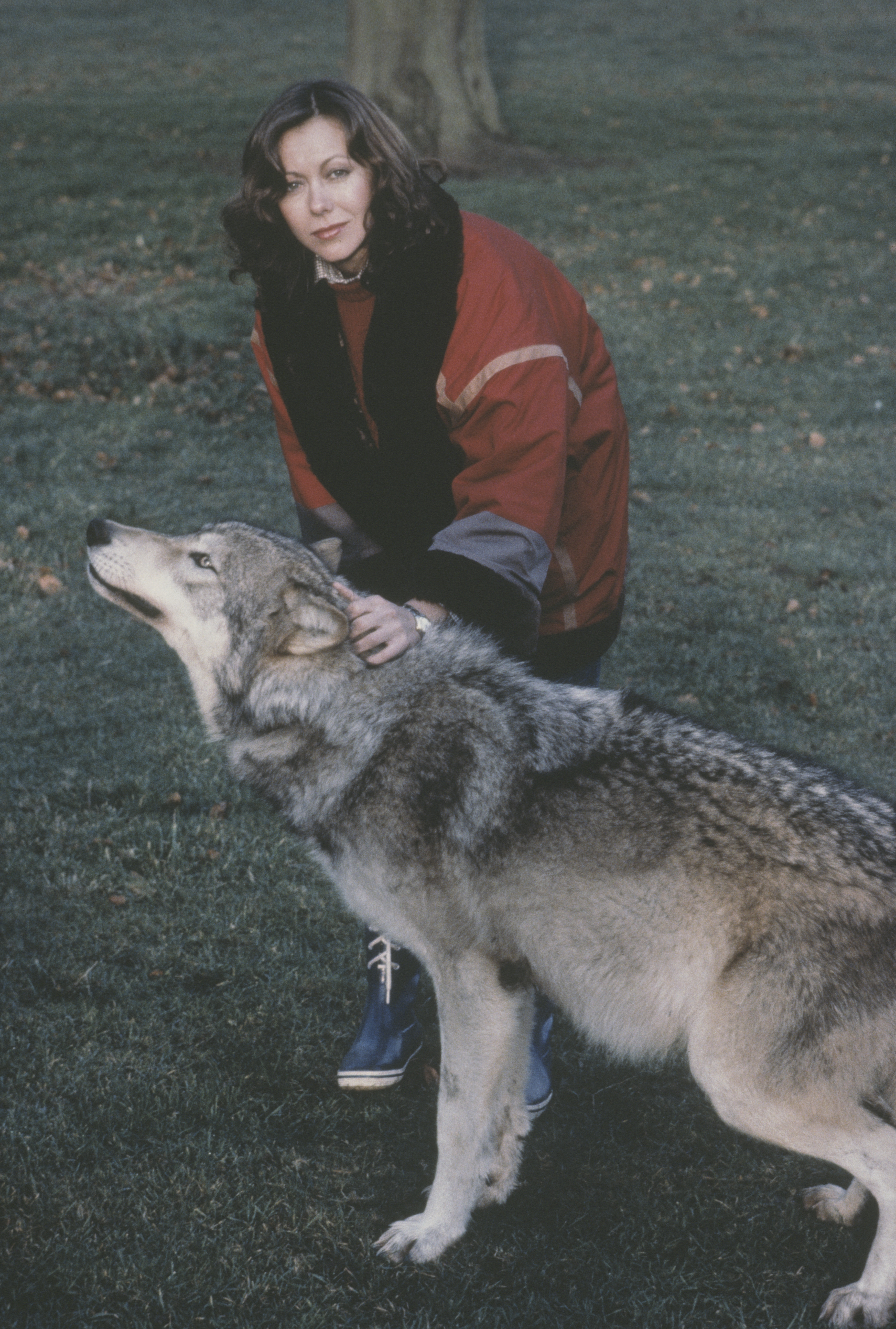 Jenny Agutter in Người Sói Mỹ Ở Luân Đôn (1981)