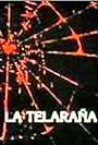 La telaraña (1986)