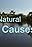 Natural Causes