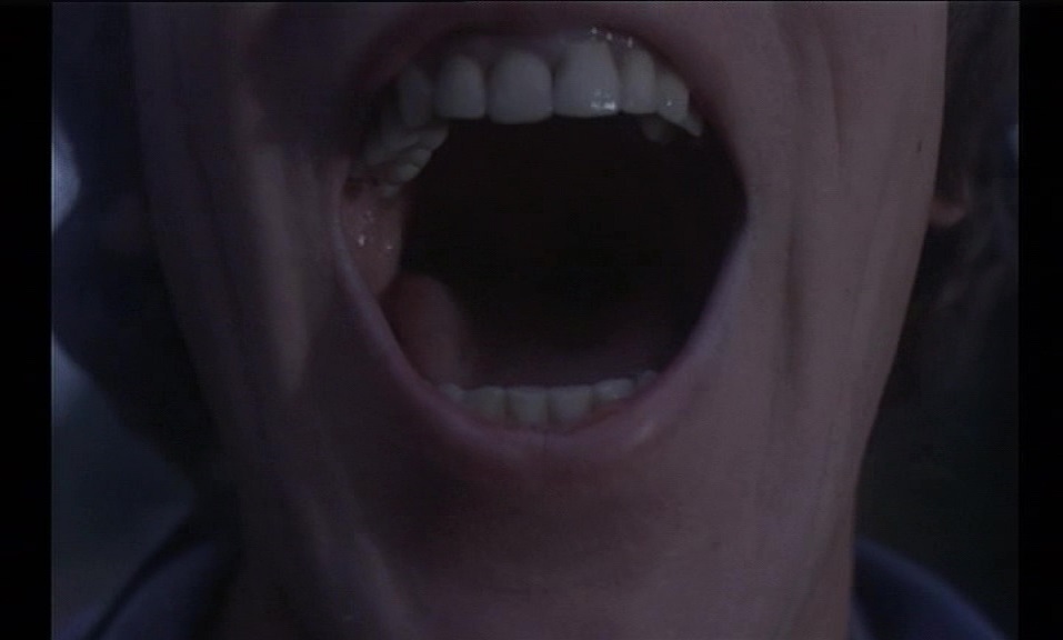 Pierre Helliet in La nuit de la mort! (1980)