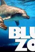 Blue Zoo (2014)