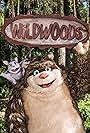 Wildwoods (2017)