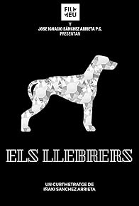 Primary photo for Els llebrers (The greyhounds)