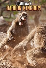 Luangwa's Baboon Kingdom (2023)