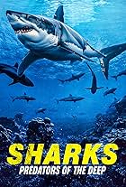 Sharks: Predators of the Deep