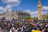 调查：在英港人赞成取缔香港驻英经贸处（图）