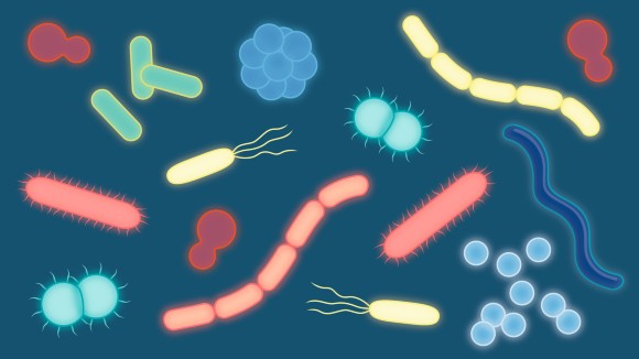 A stylized depiction of various bacterias shown in various shapes and colors, floating against a blue background.