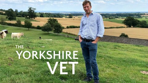 The Yorkshire Vet