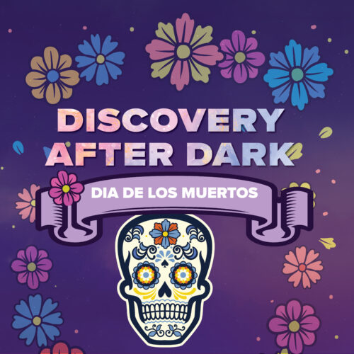 Discovery After Dark Dia de los Muertos