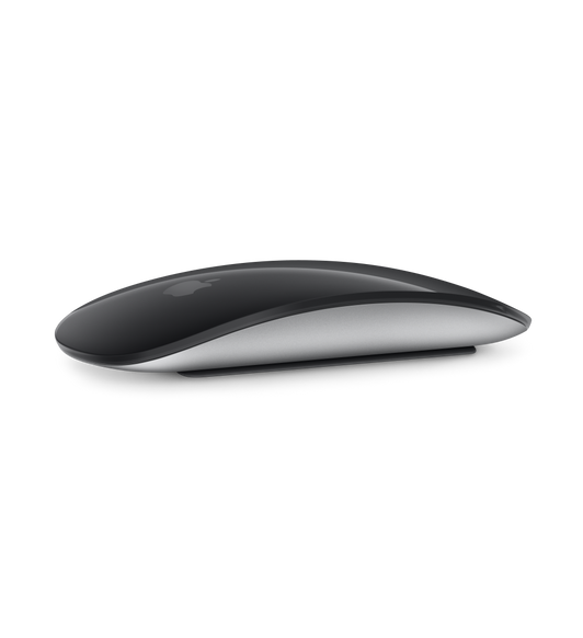 Magic Mouse, black multi-touch surface, silver aluminum body